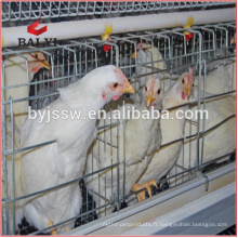 Cage de poulet de couche de volaille pour les fermes de poulet du Costa Rica